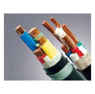 CSYV������Ƶ����