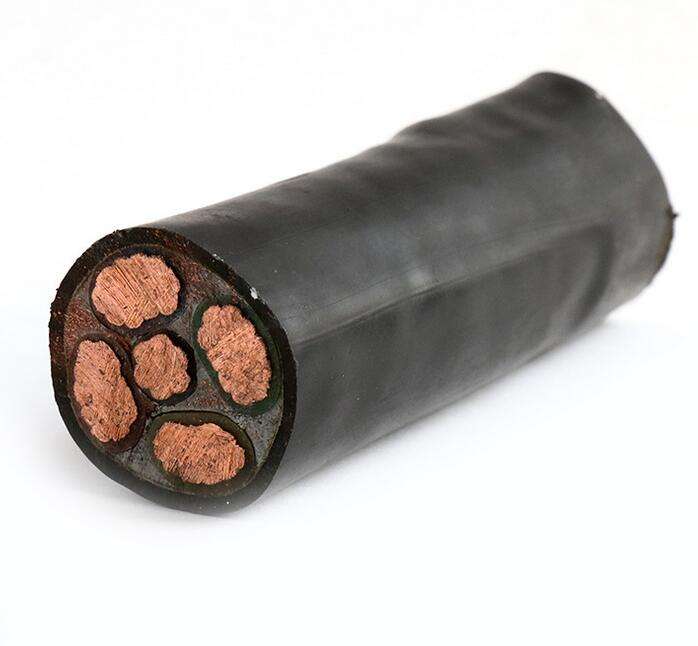 ͨͺŹ񼰲
